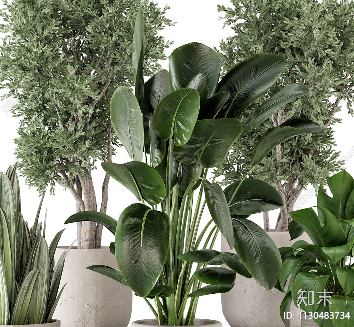 植物盆栽组合3D模型下载【ID:1130483734】