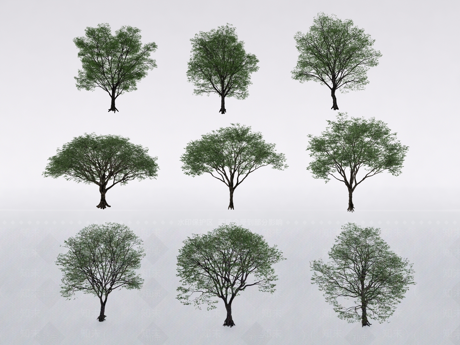 行道树SU模型下载【ID:1130517638】