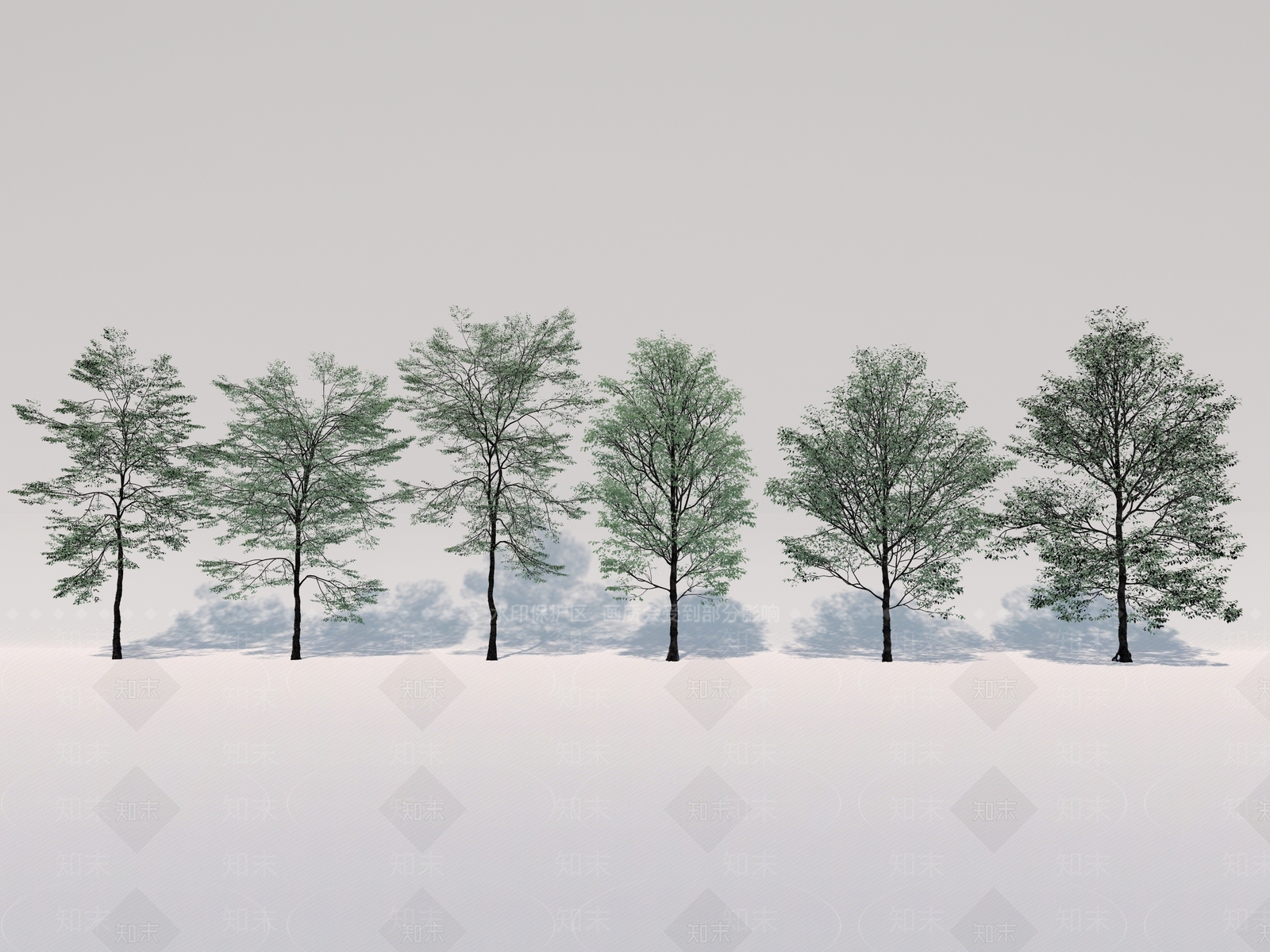 行道树SU模型下载【ID:1130517787】