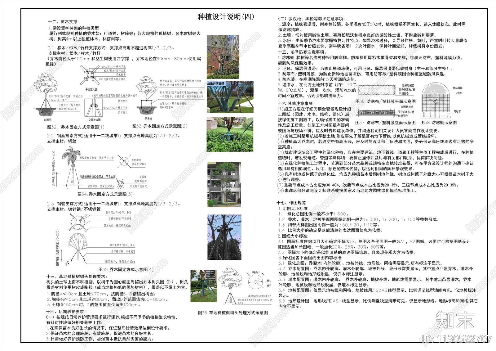 绿化设计说明施工图下载【ID:1130522707】