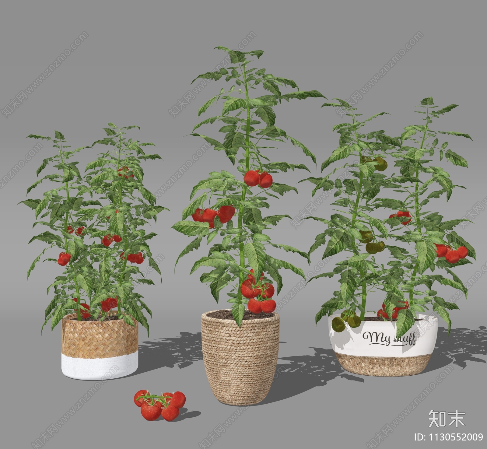 番茄柠檬植物农作物盆栽组合SU模型下载【ID:1130552009】