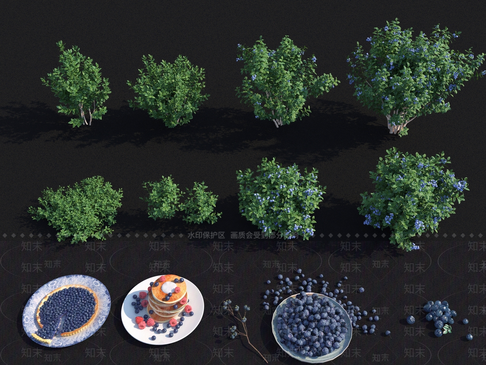 蓝莓灌木3D模型下载【ID:1130621559】