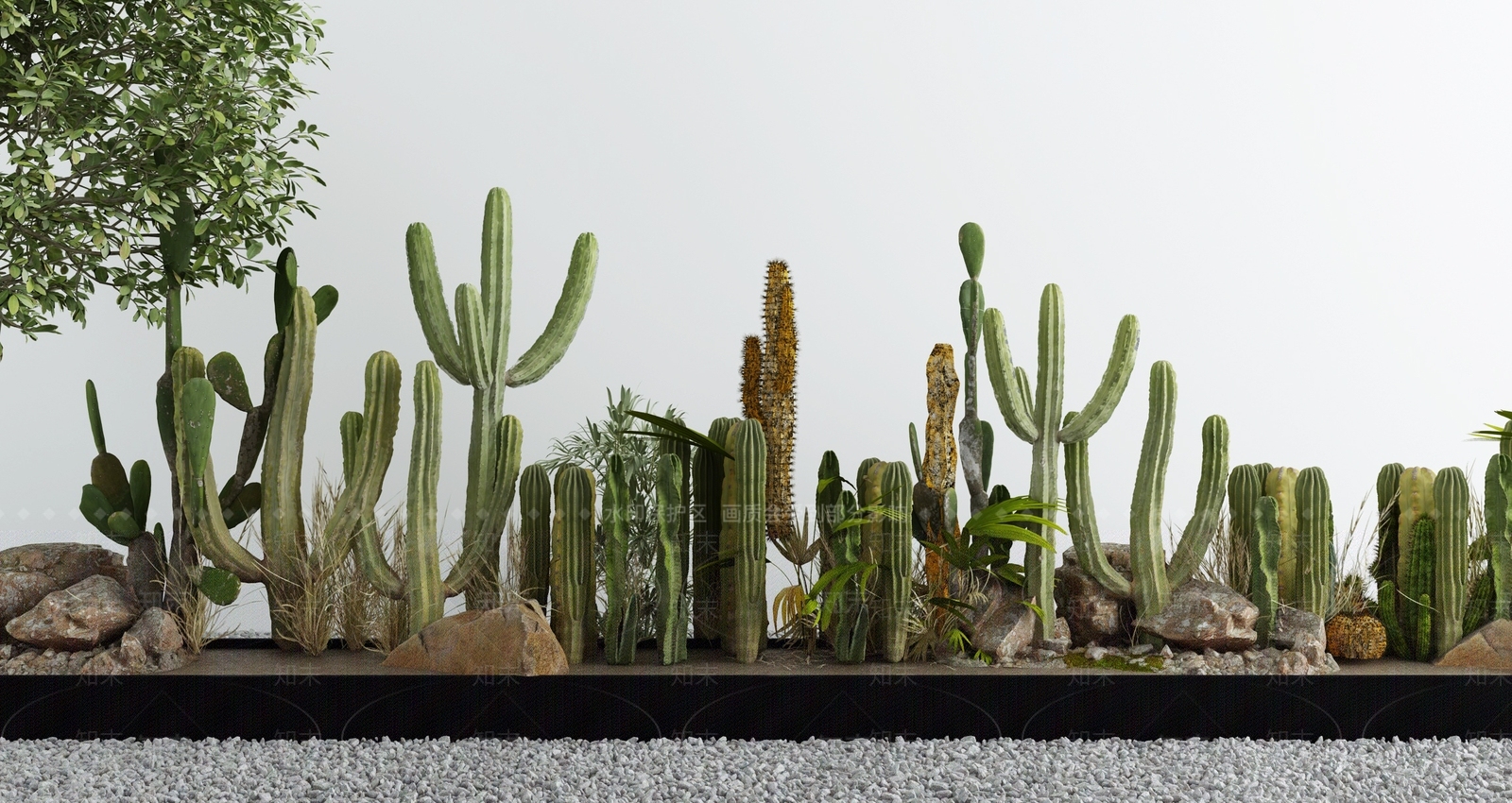 仙人掌植物堆3D模型下载【ID:1130628668】