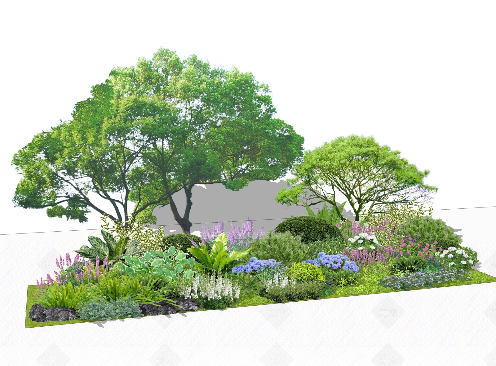 植物组合SU模型精品下载_SketchUp模型_知末网