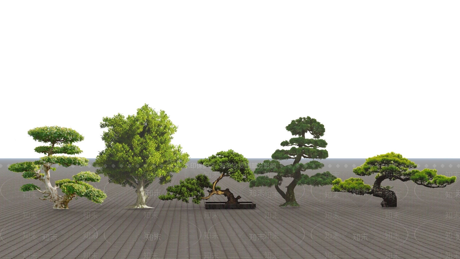 2D造型松SU模型下载【ID:1130764277】