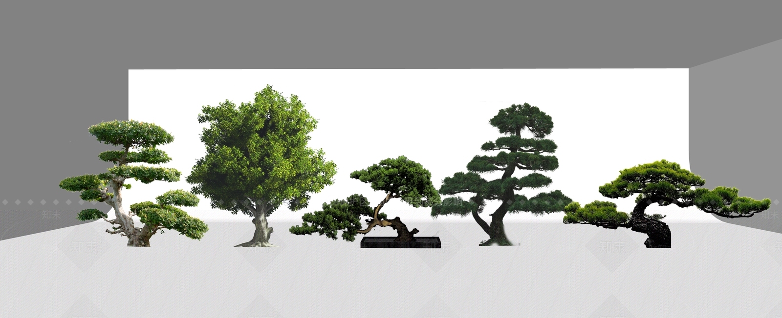 2D造型松SU模型下载【ID:1130764277】