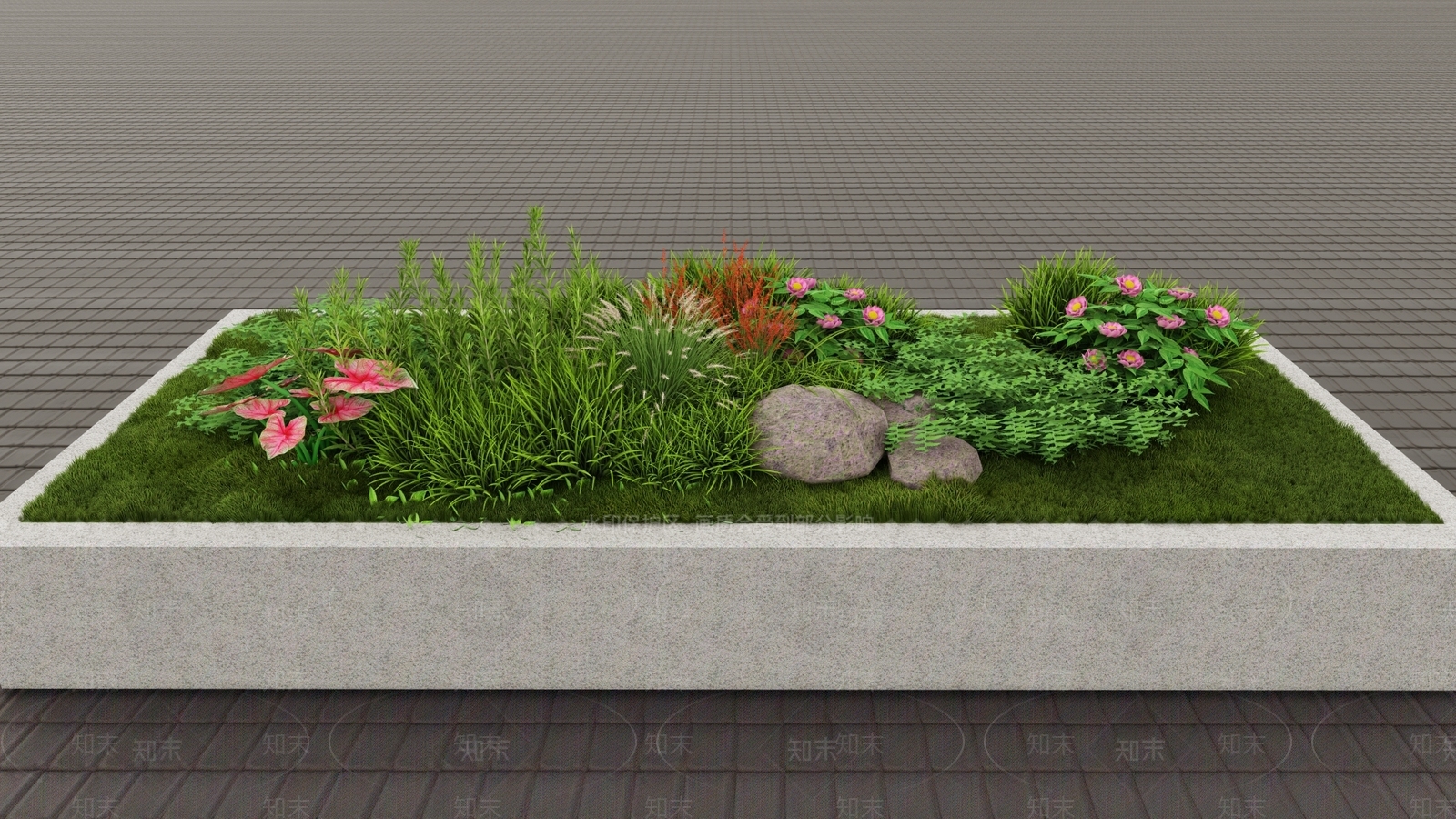 蕨类植物SU模型下载【ID:1130765173】