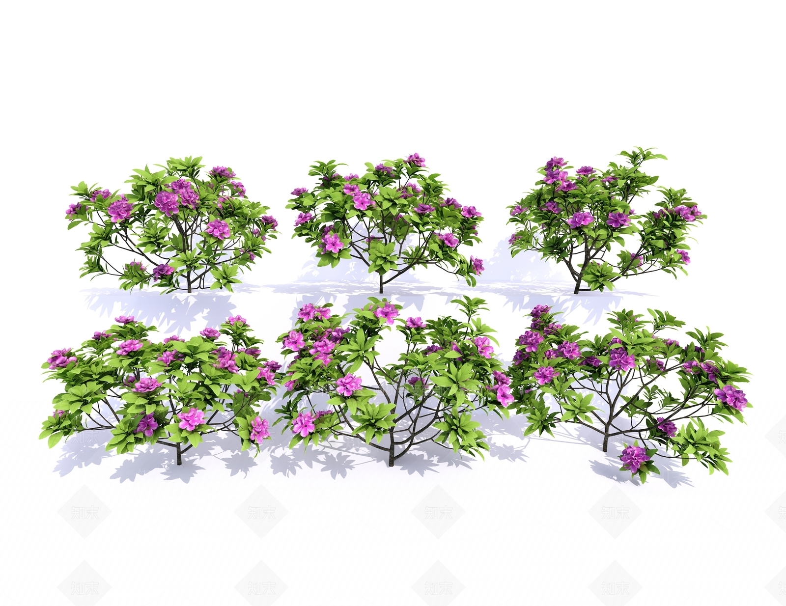 杜鹃花SU模型下载【ID:1130794171】