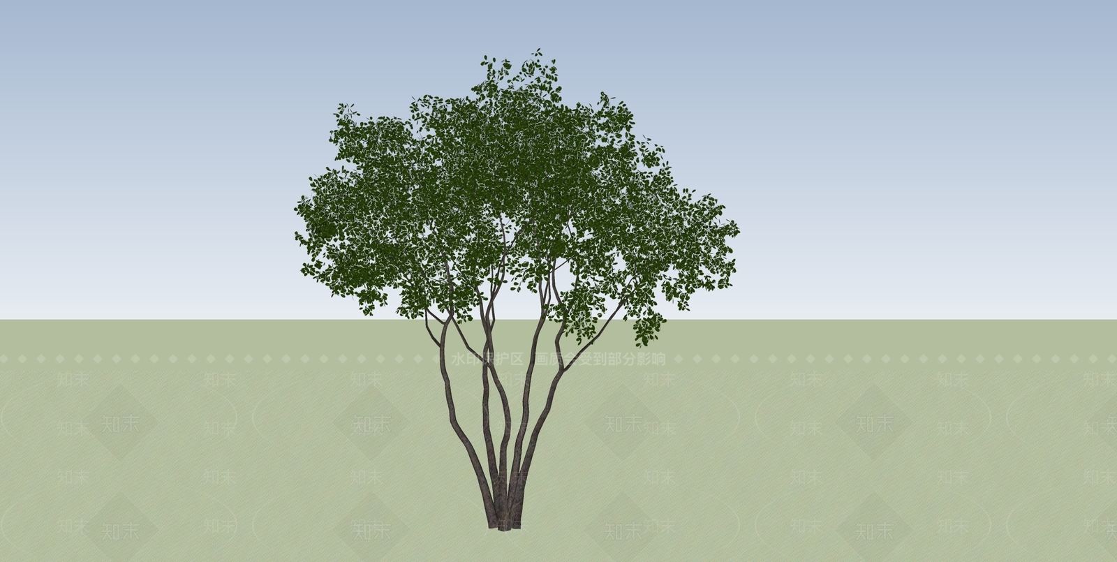 景观树SU模型下载【ID:1130799522】
