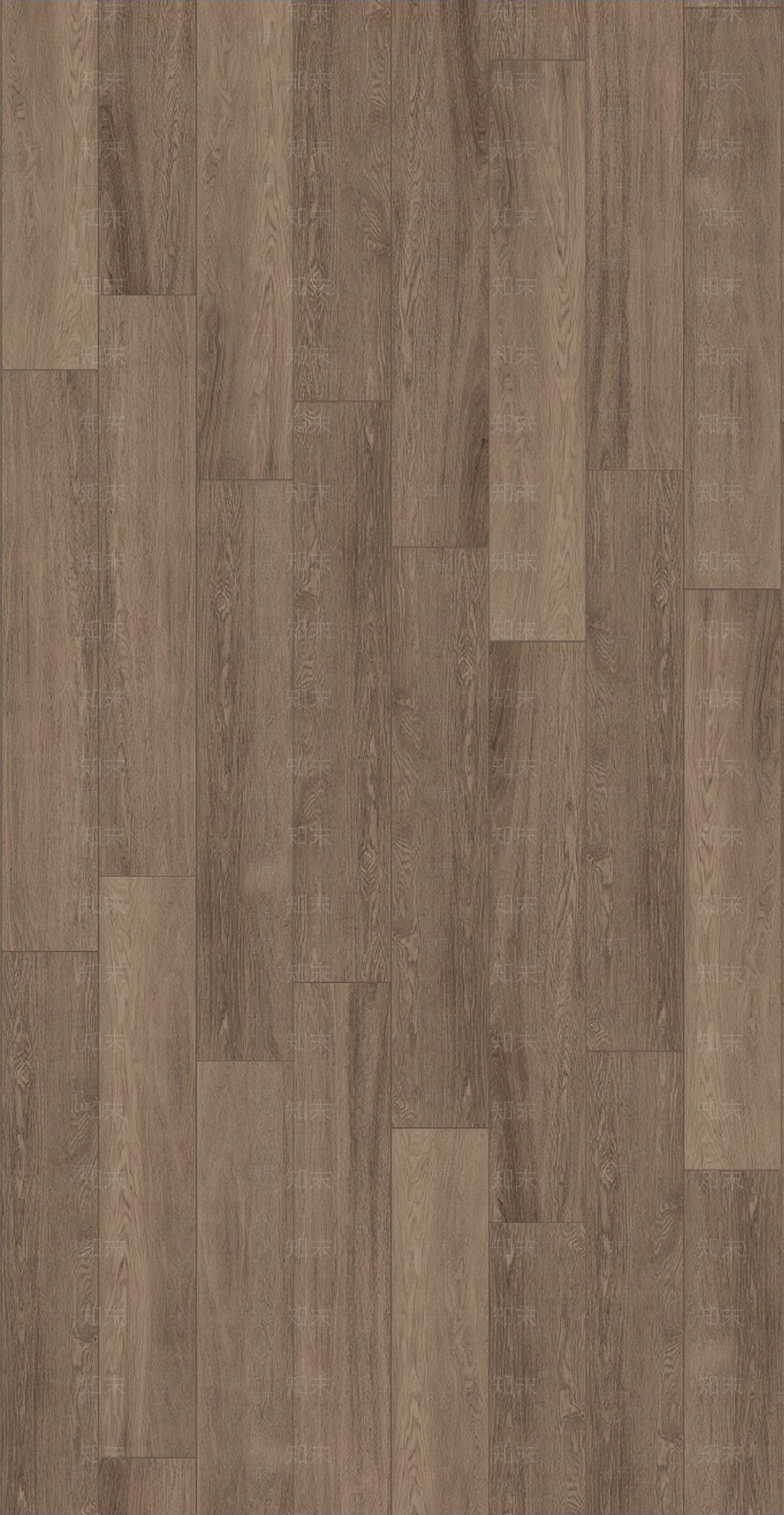 肯帝亚实木强化常规地板贴图下载【ID:1130887158】