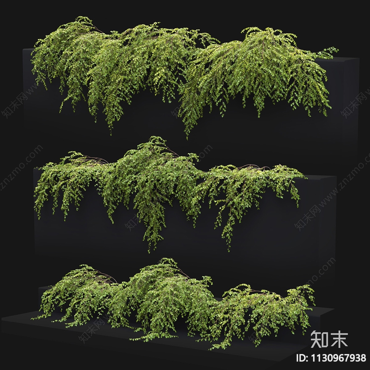 现代藤蔓植物3D模型下载【ID:1130967938】