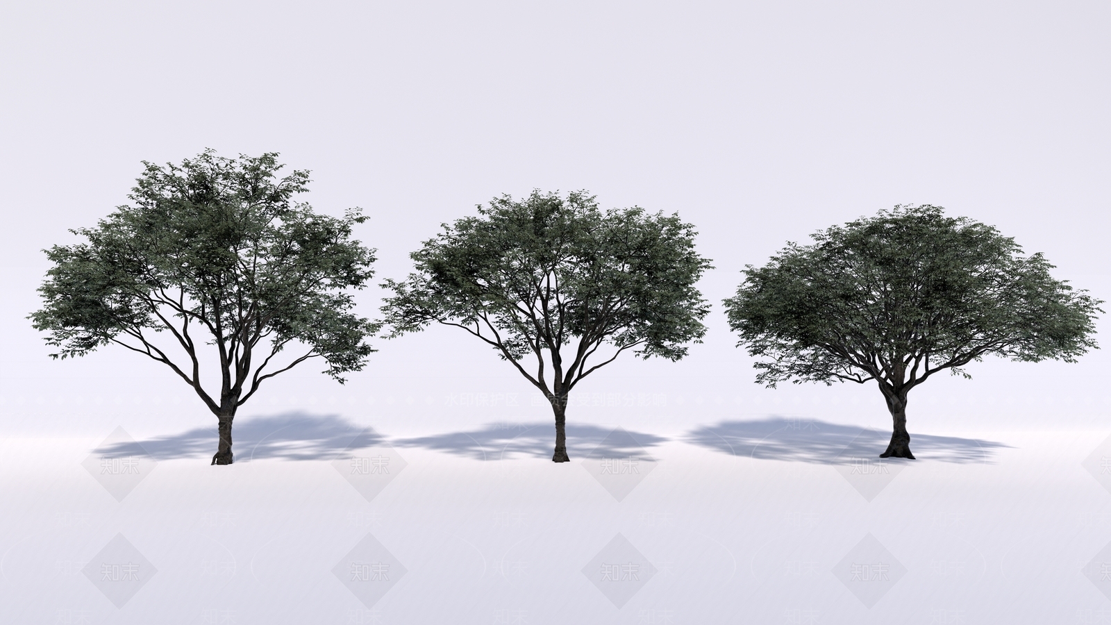 行道树SU模型下载【ID:1131001908】