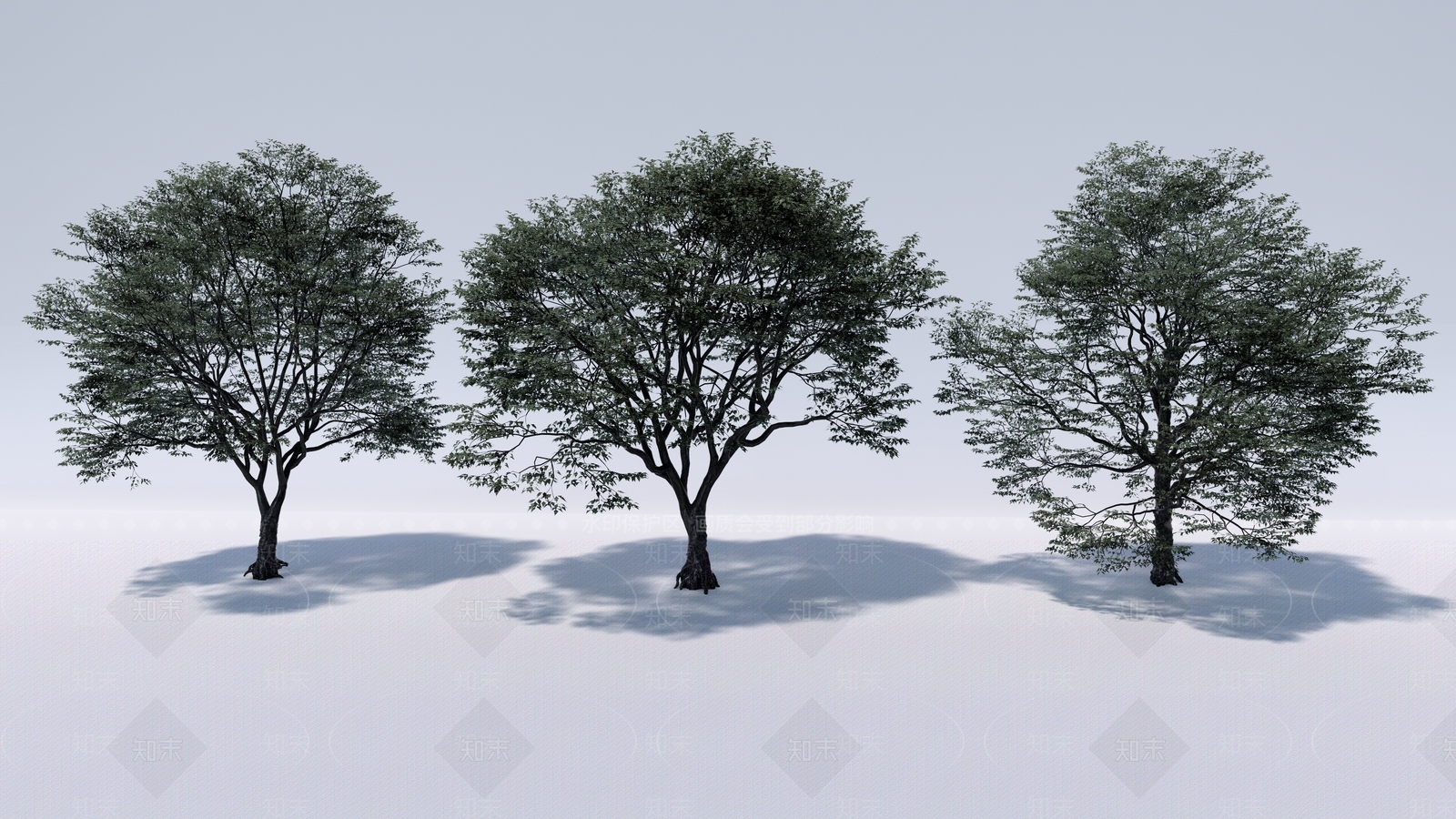 行道树SU模型下载【ID:1131002026】