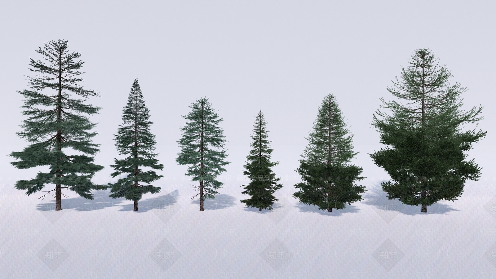 行道树SU模型下载【ID:1131002259】