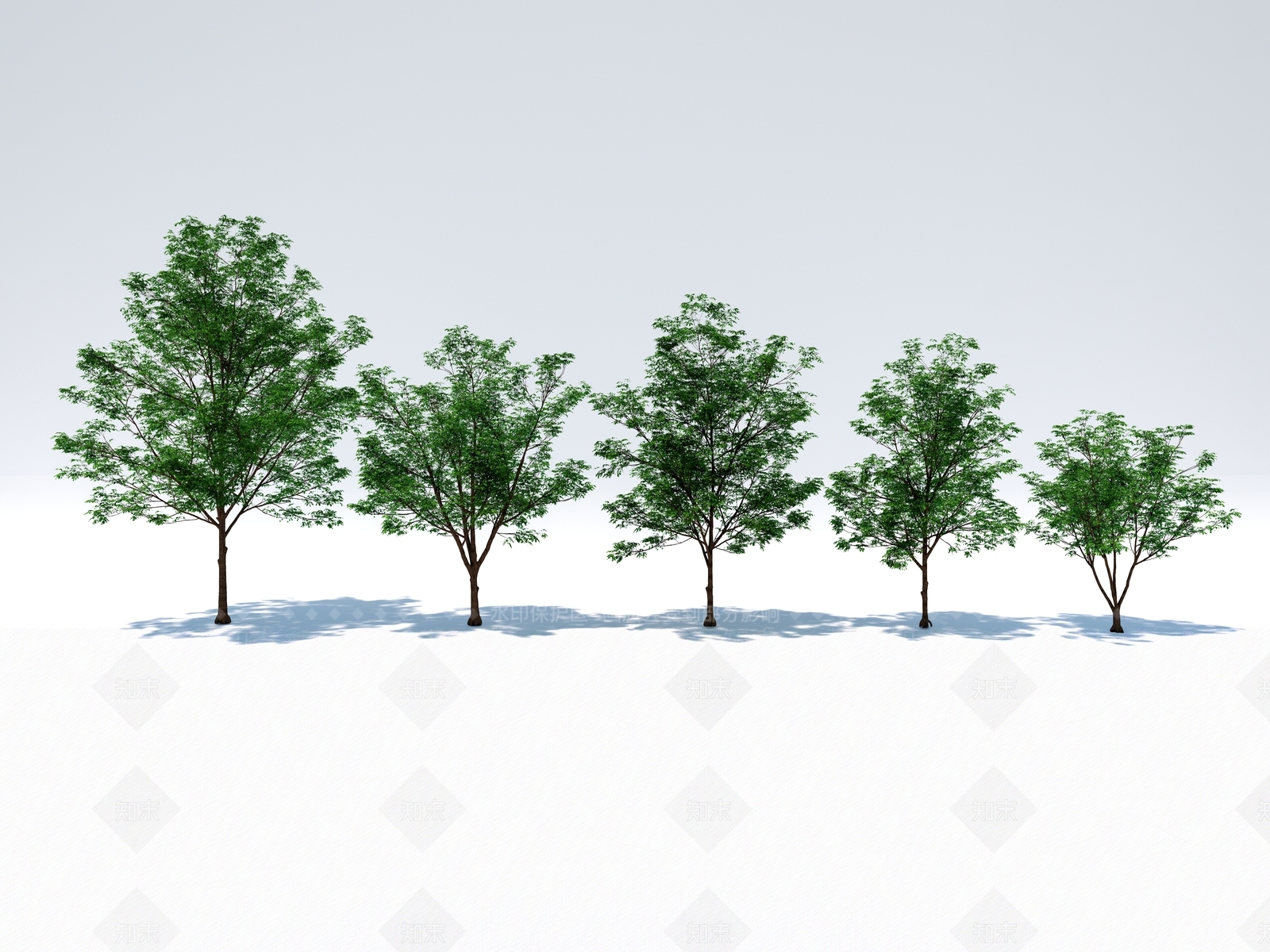 行道树SU模型下载【ID:1131002327】