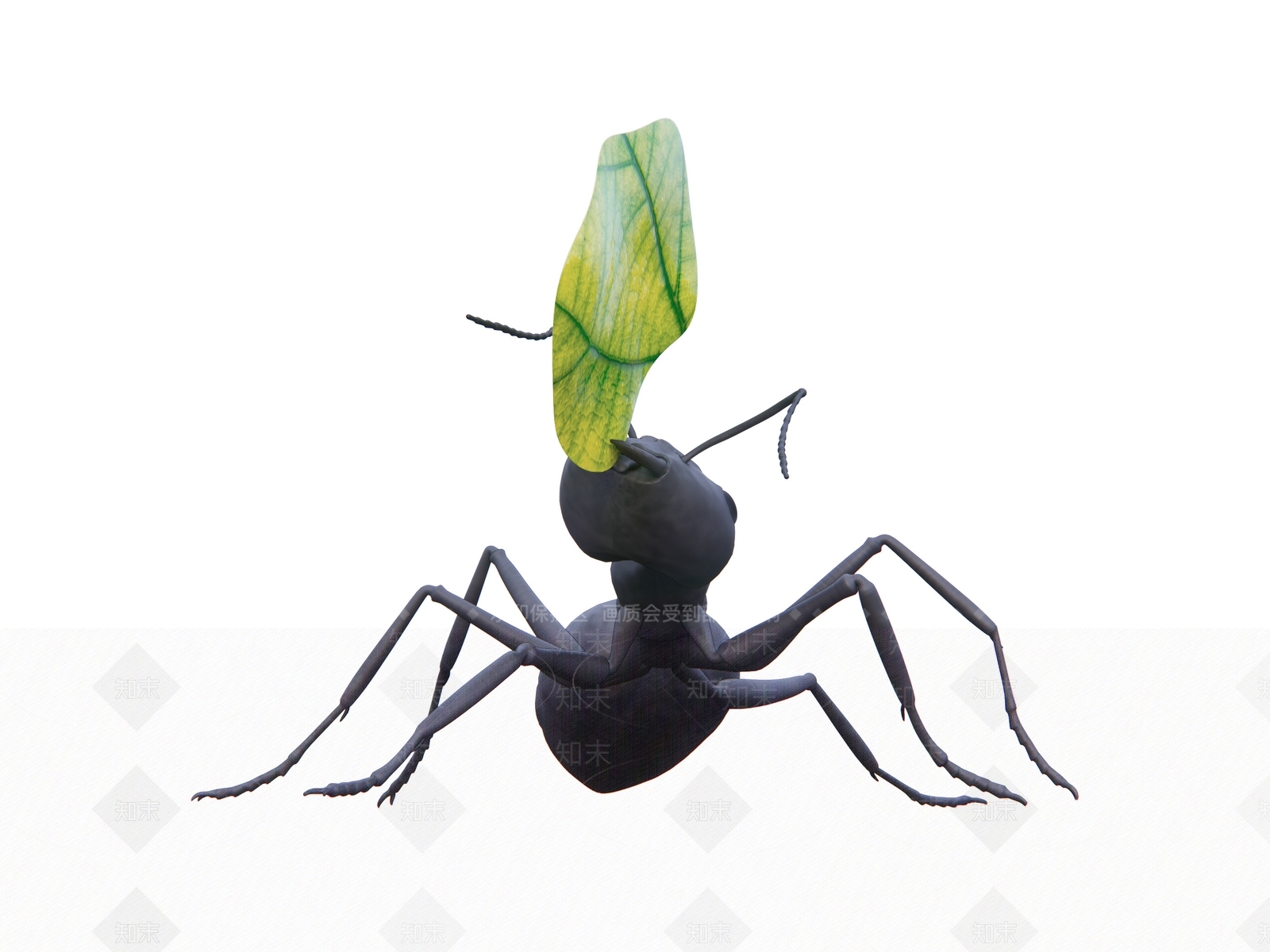 蚂蚁SU模型下载【ID:1131012534】
