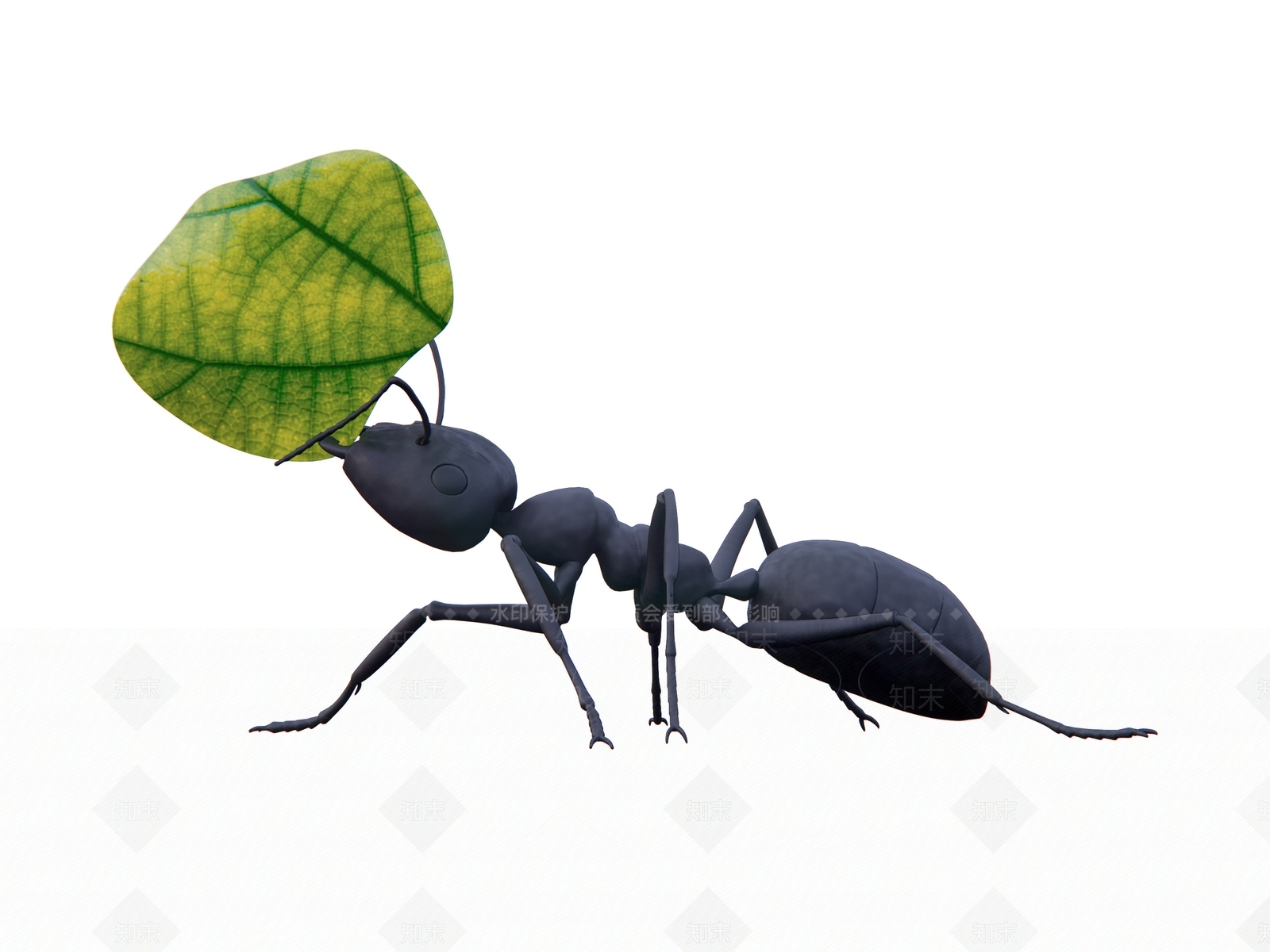 蚂蚁SU模型下载【ID:1131012534】
