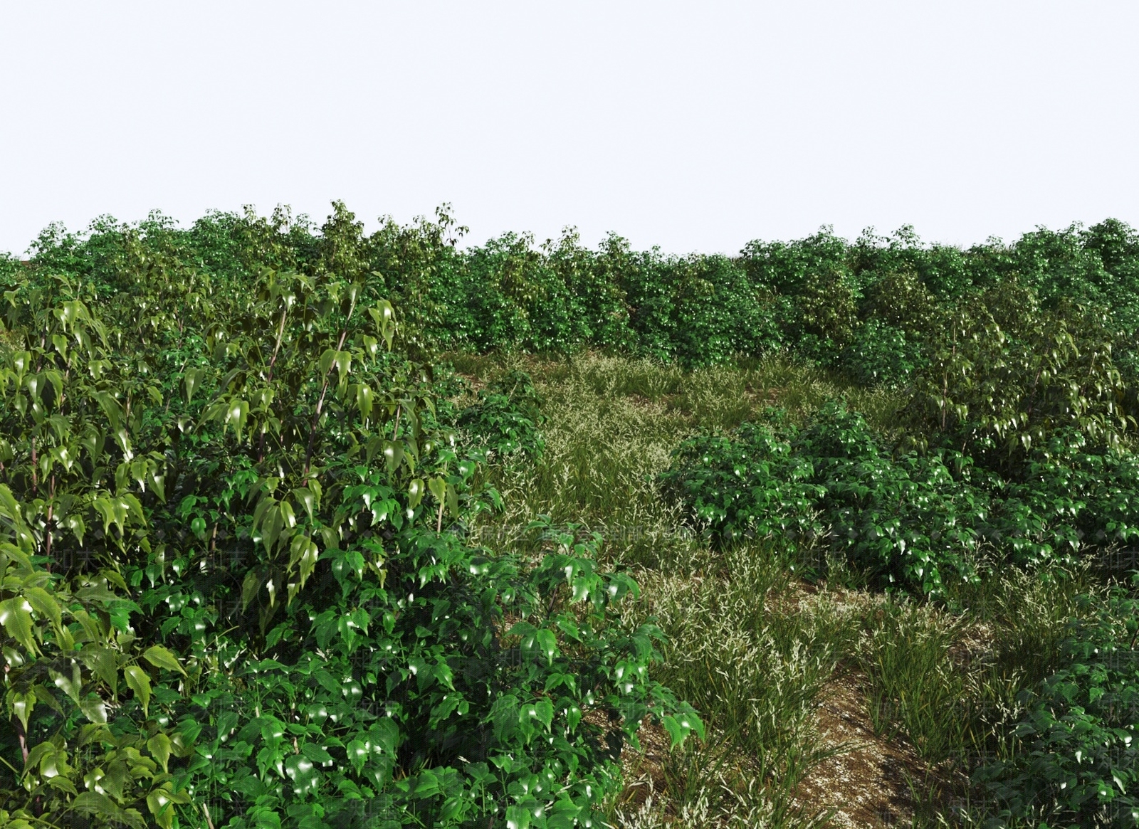 花草组合3D模型下载【ID:1131066743】