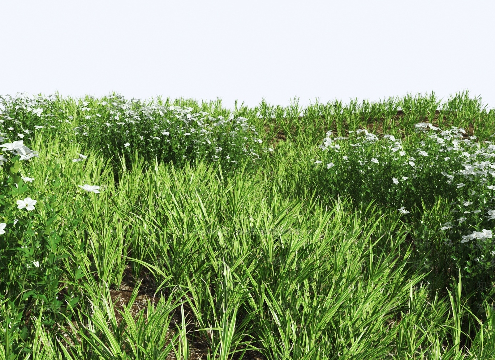 花草组合3D模型下载【ID:1131066840】