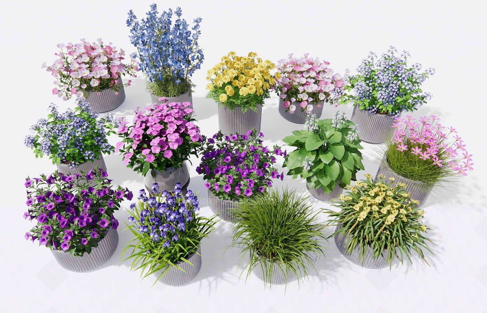 花卉盆栽3D模型下载【ID:1131114843】