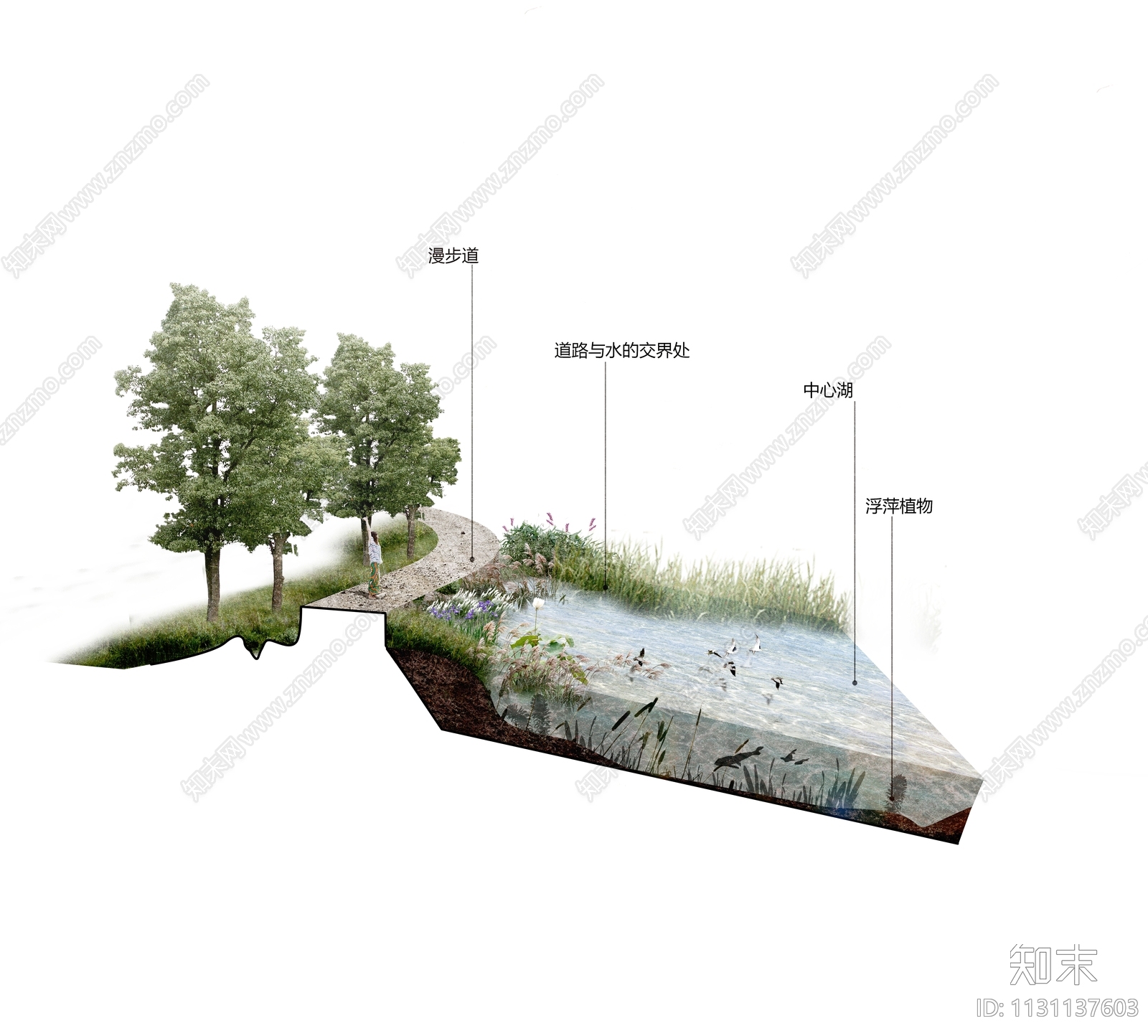 剖面图/立面图设计素材精品下载_知末网