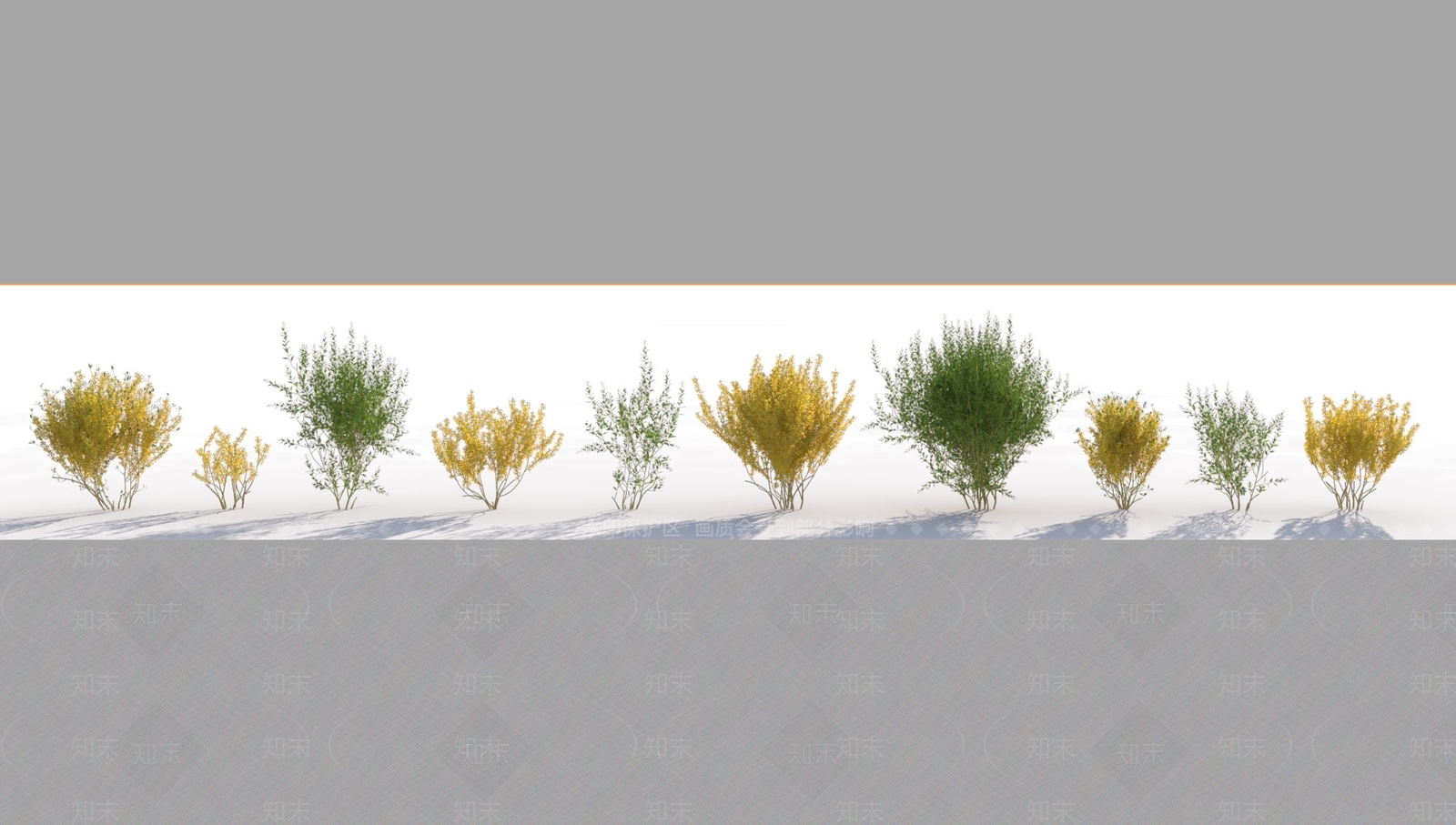 连翘3D模型下载【ID:1131174739】