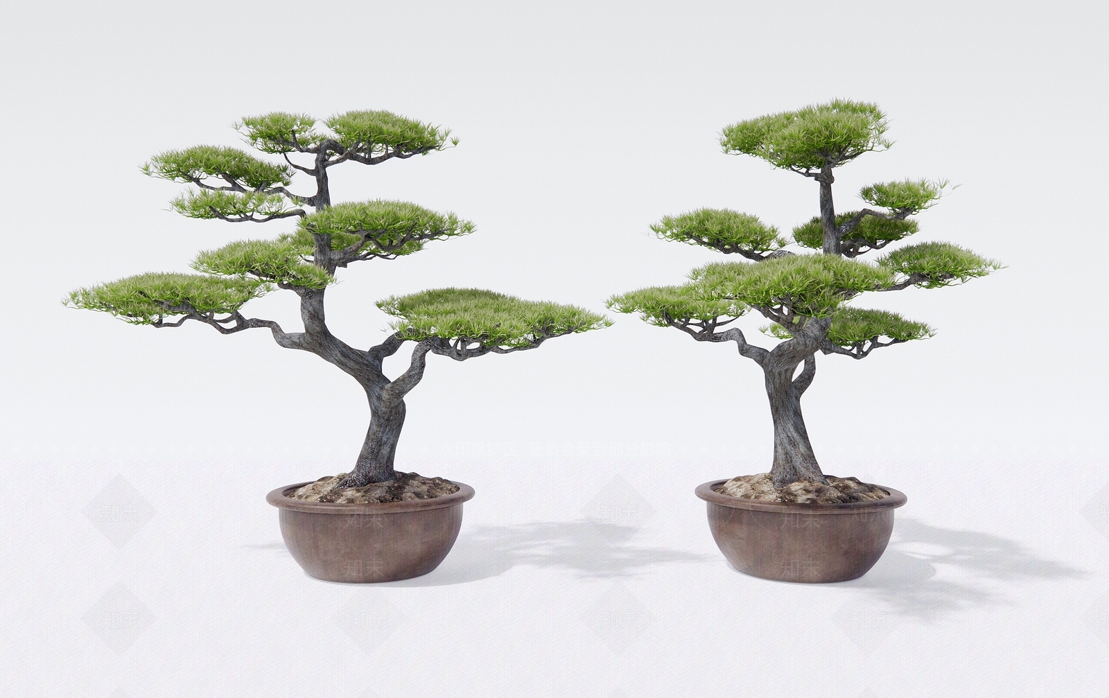 松树盆栽3D模型下载【ID:1131241061】