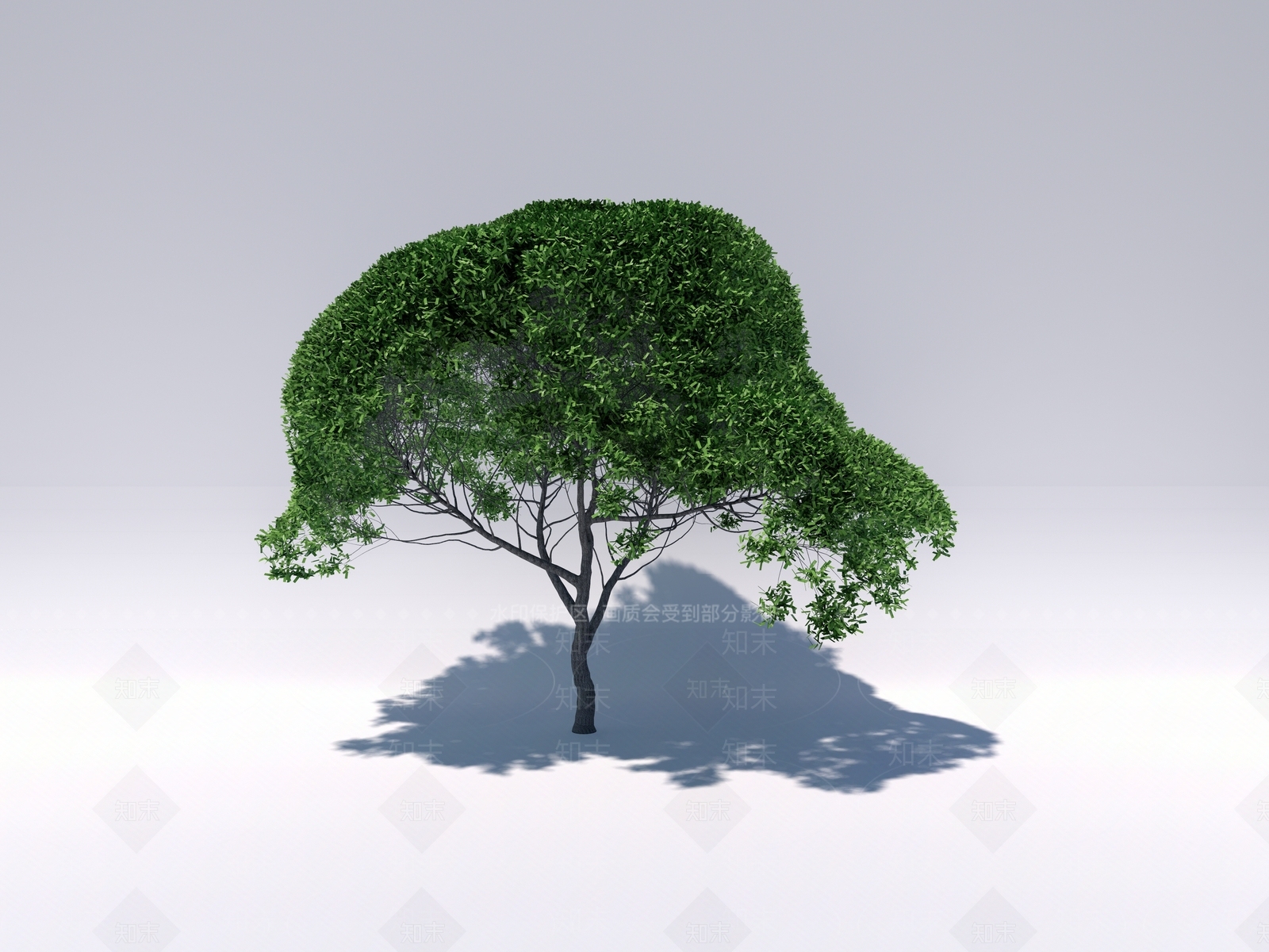 行道树SU模型下载【ID:1131281297】