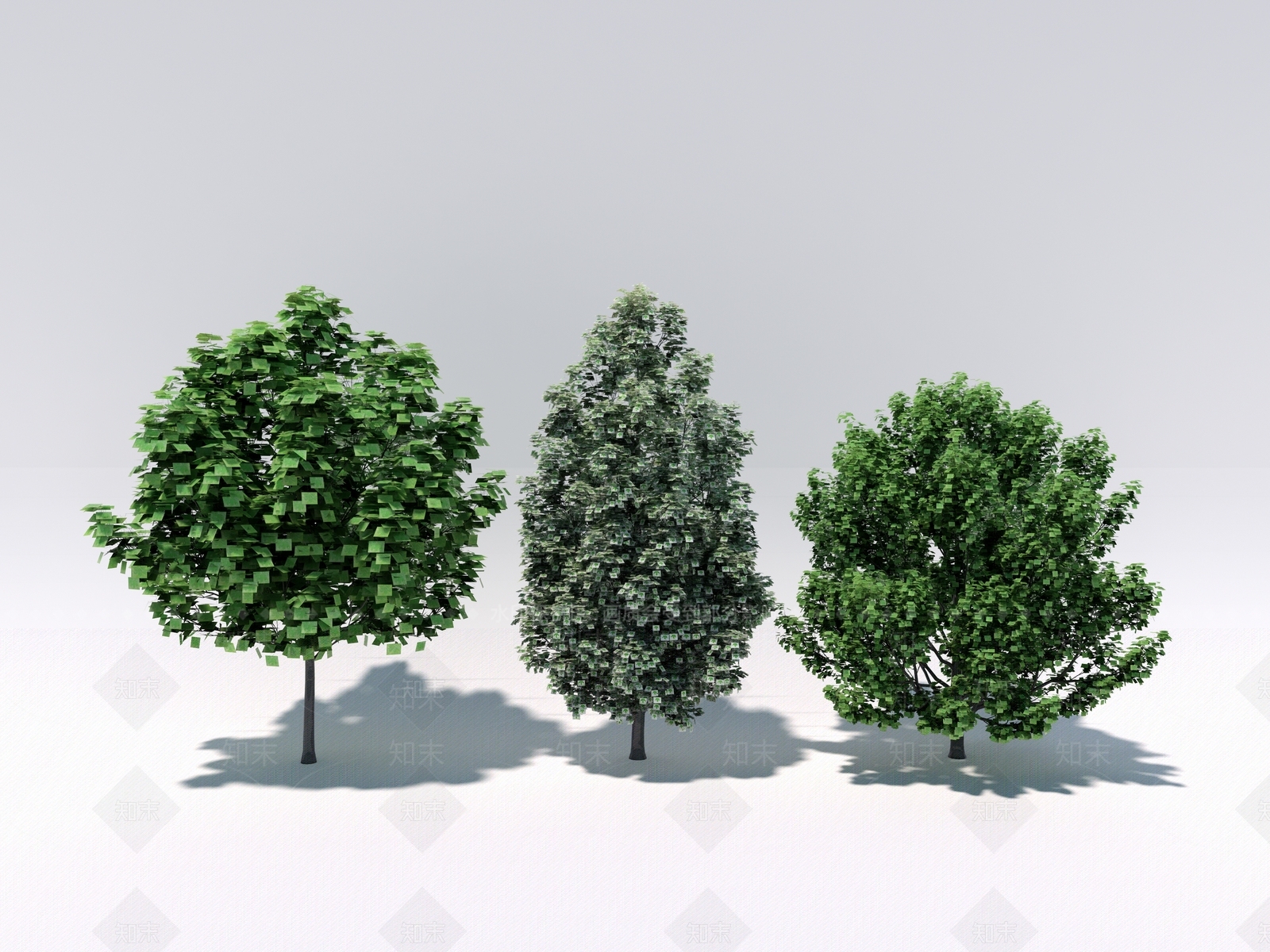 行道树SU模型下载【ID:1131281321】