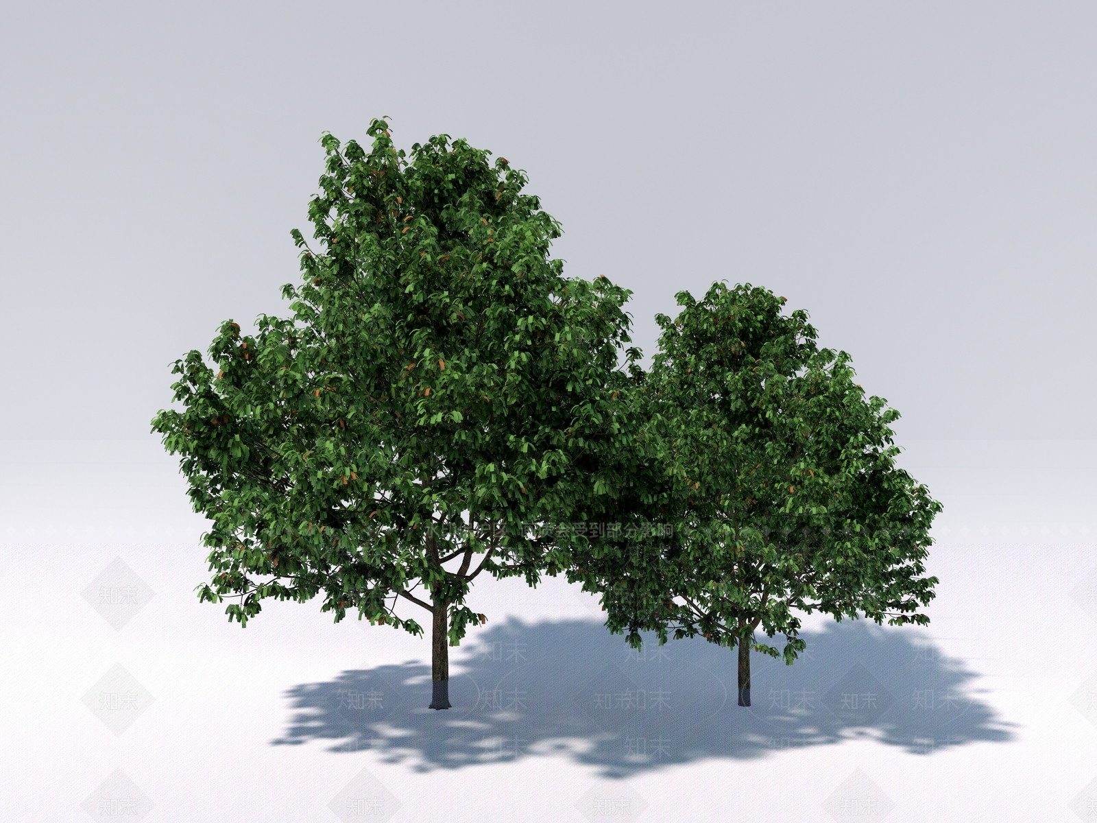 行道树SU模型下载【ID:1131281358】