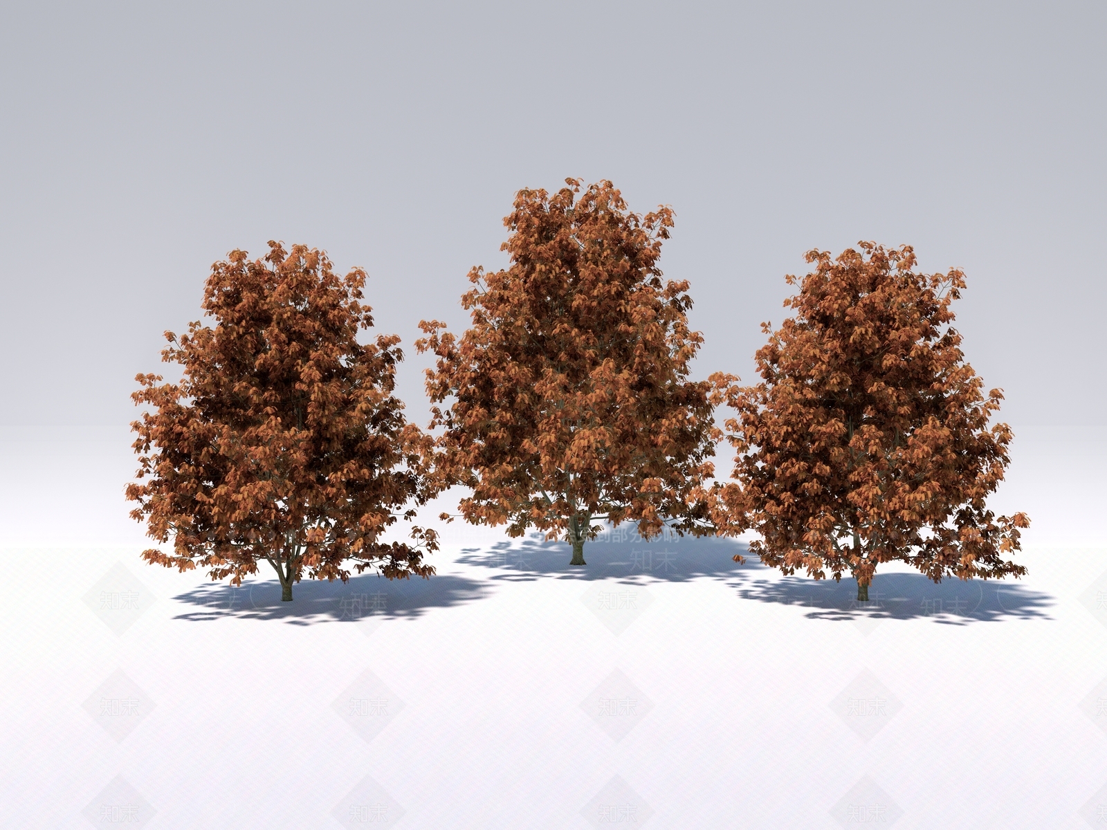 行道树SU模型下载【ID:1131281456】