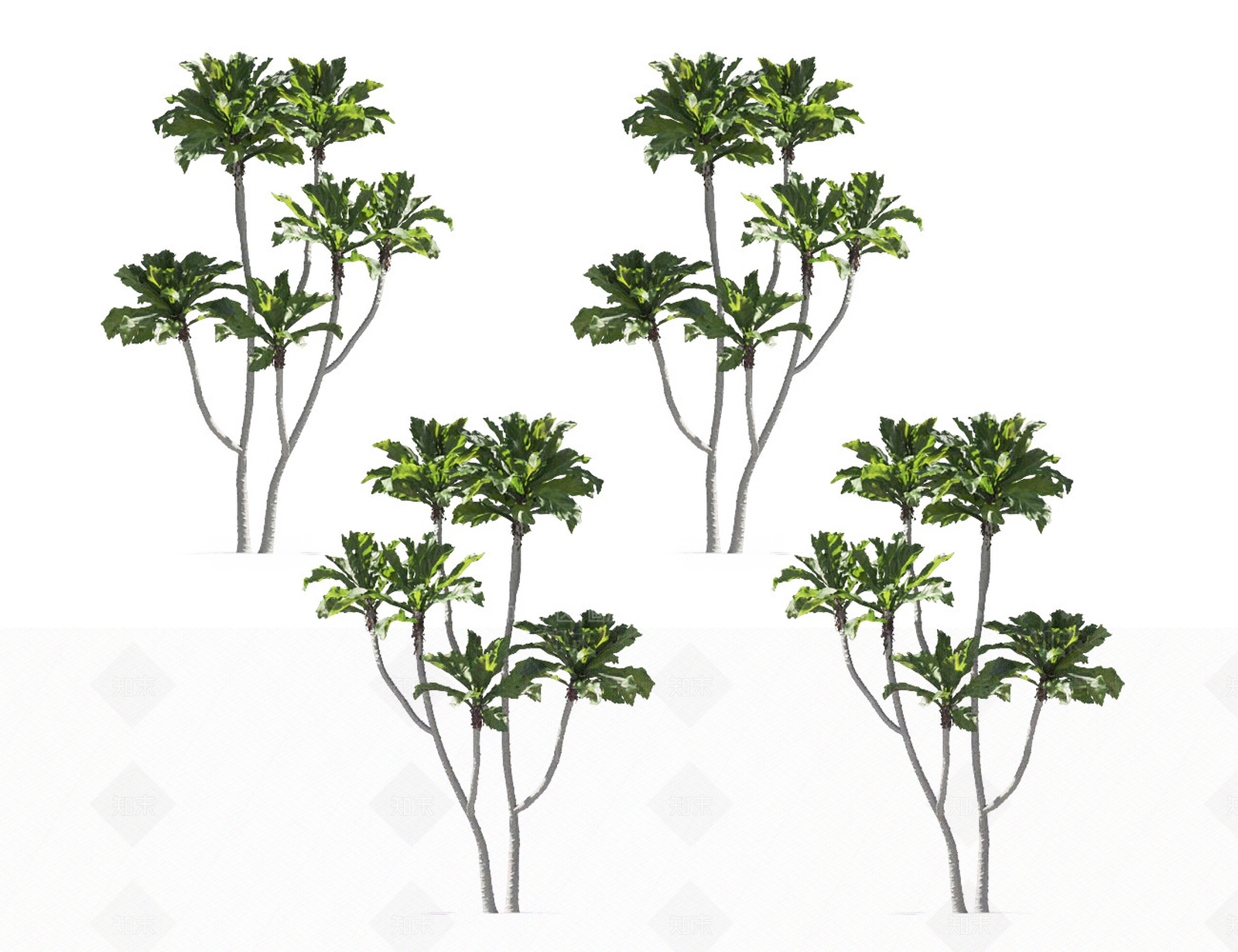 无花果树3D模型下载【ID:1131379267】