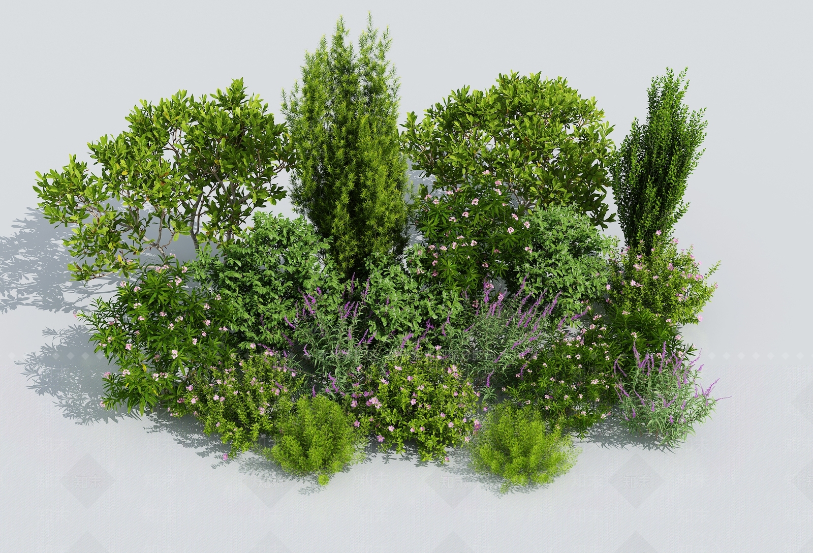 花草花卉3D模型下载【ID:1131410583】