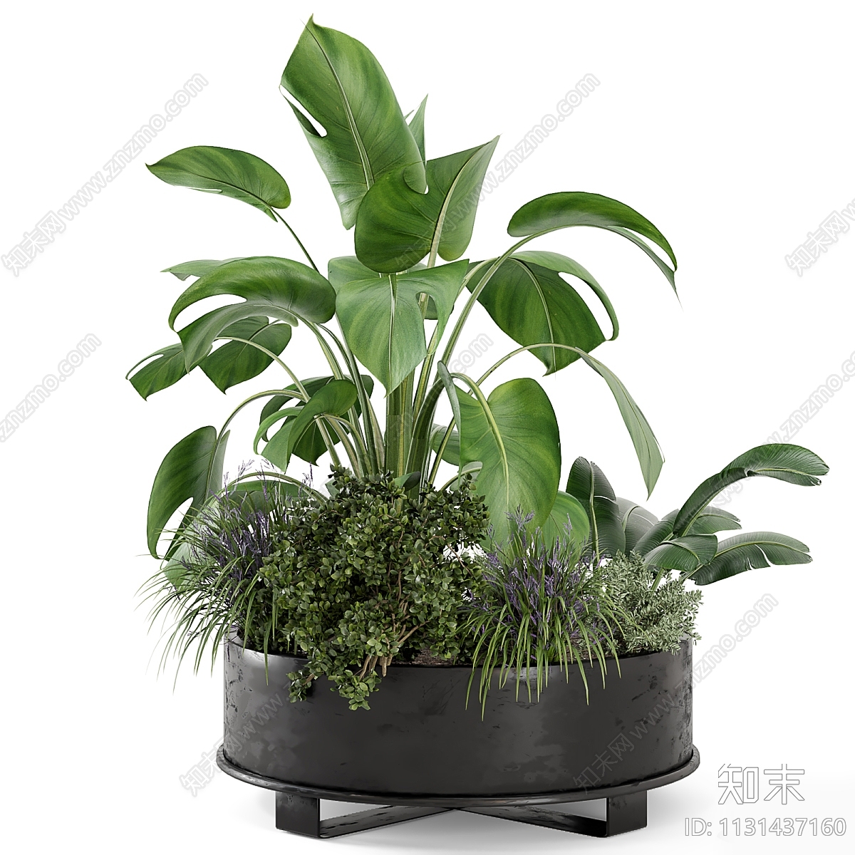 植物堆3D模型下载【ID:1131437160】