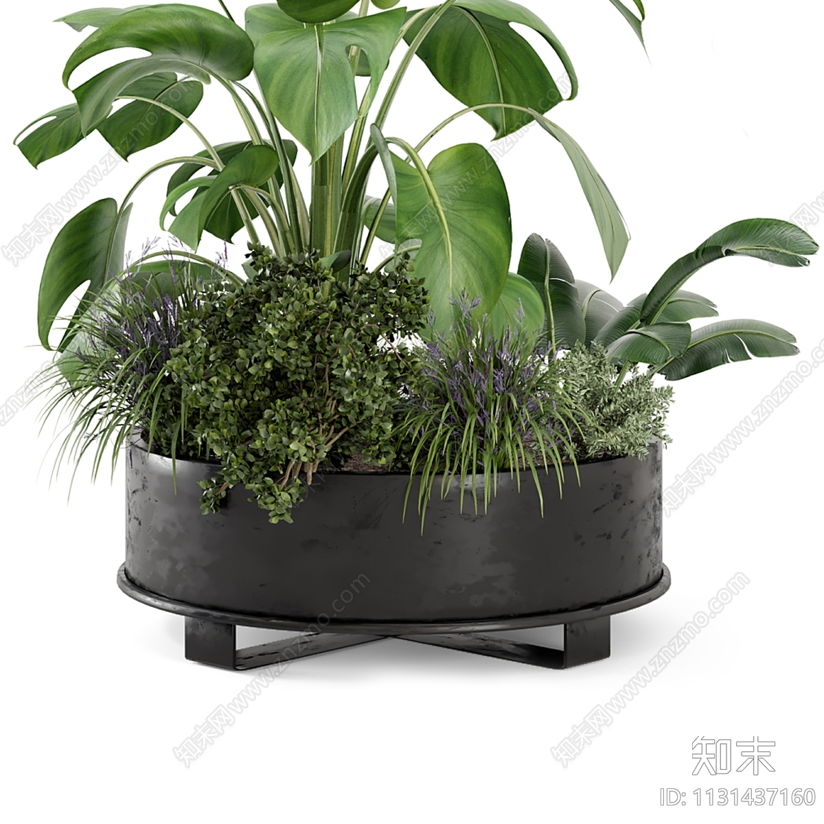 植物堆3D模型下载【ID:1131437160】