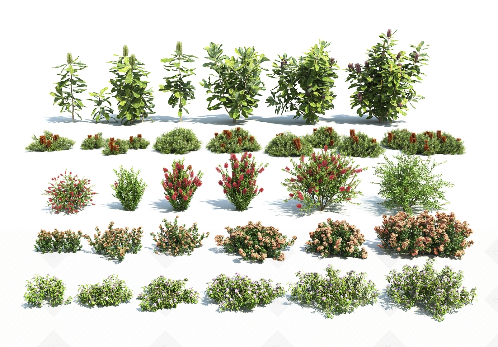 花草组合3D模型下载【ID:1131461295】
