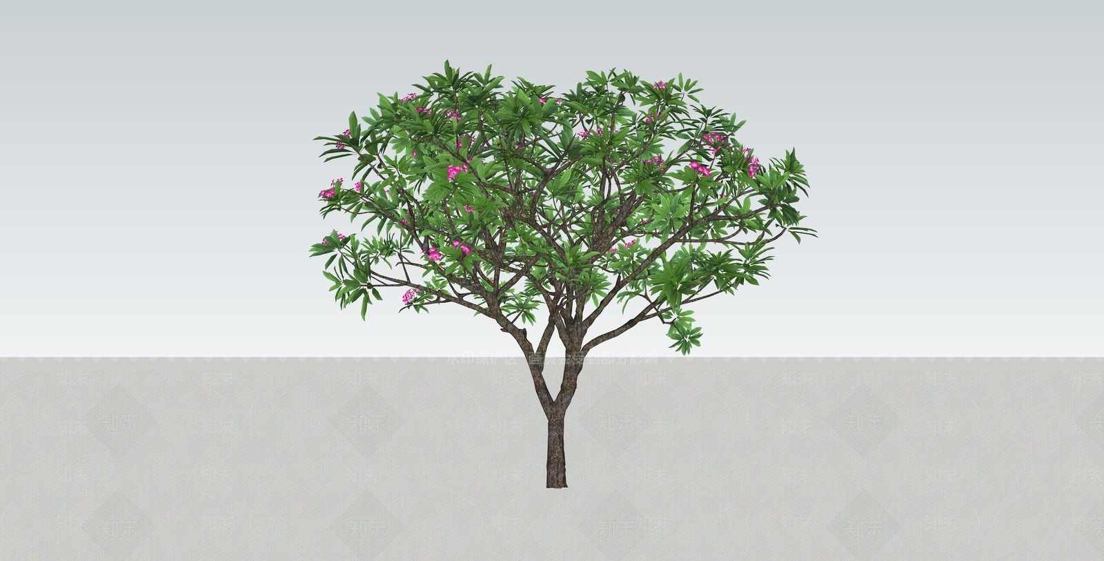 2D造型鸡蛋花SU模型下载【ID:1131461561】