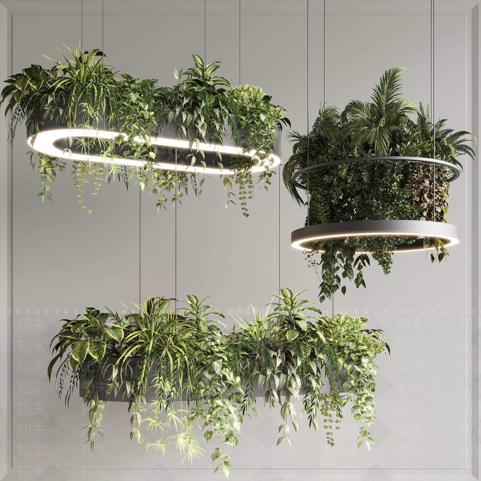 现代植物吊灯3D模型下载【ID:1131499787】