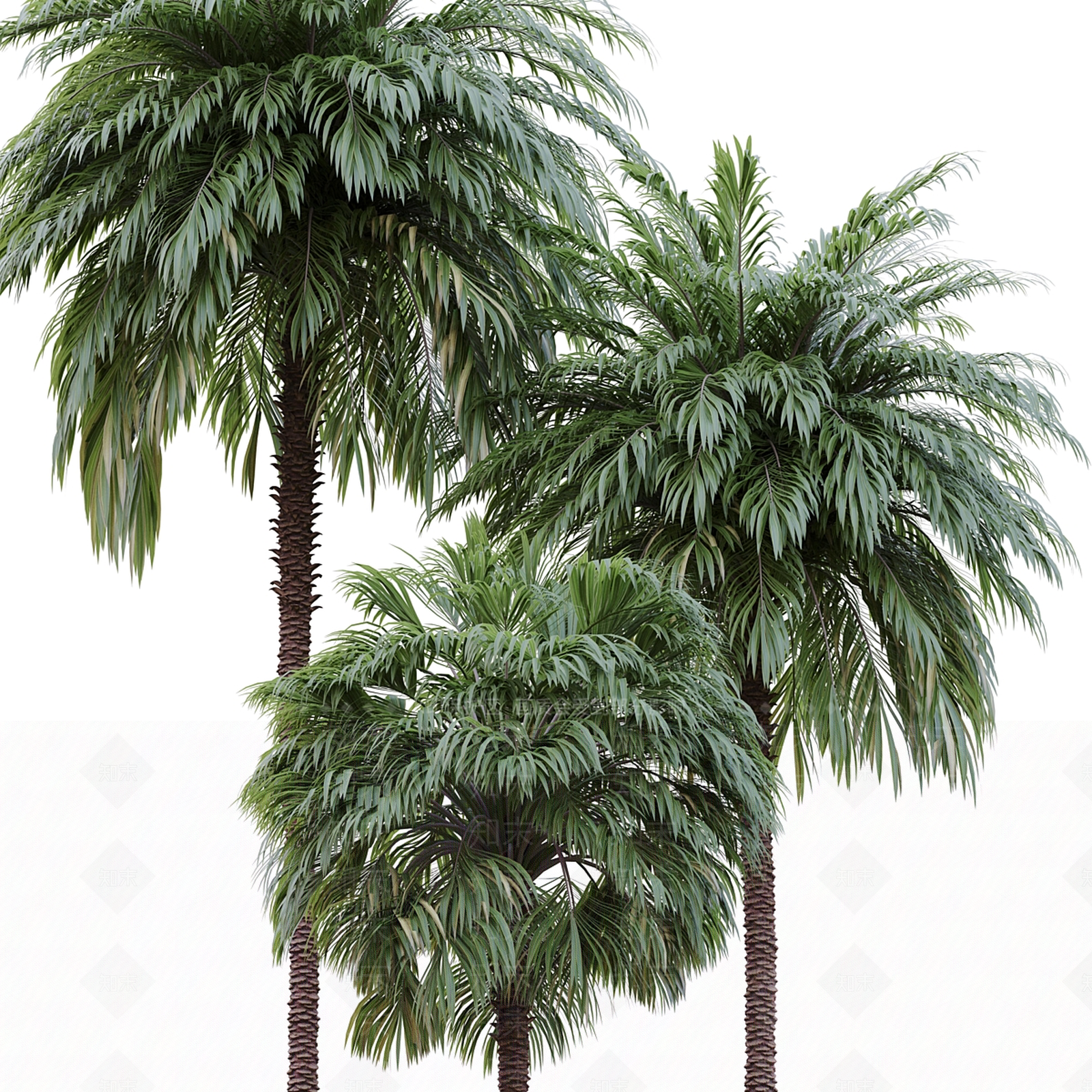 现代乔木3D模型下载【ID:1131690485】