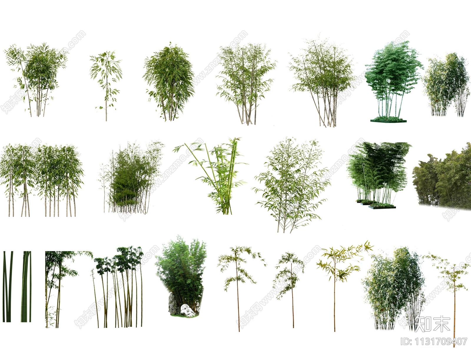 竹子立面植物免抠psd贴图下载【ID:1131709407】_【知末网贴图库】