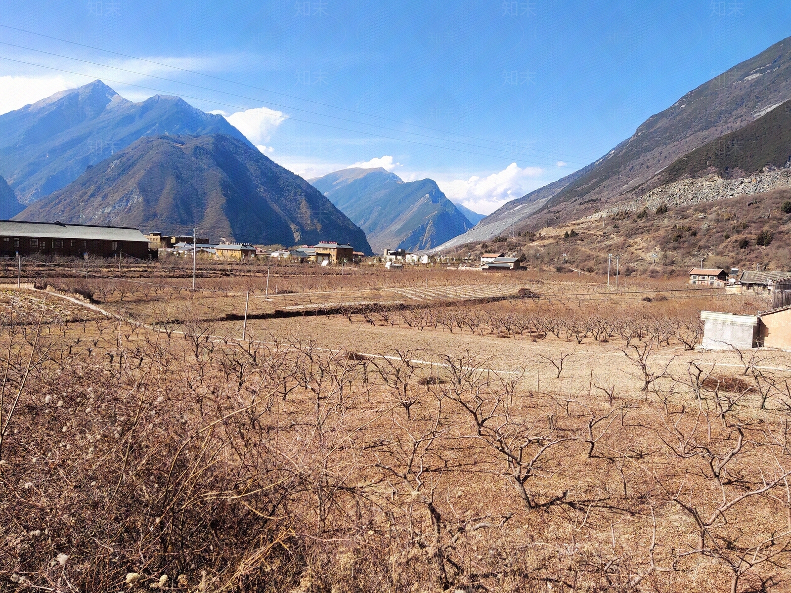 风景高清贴图材质