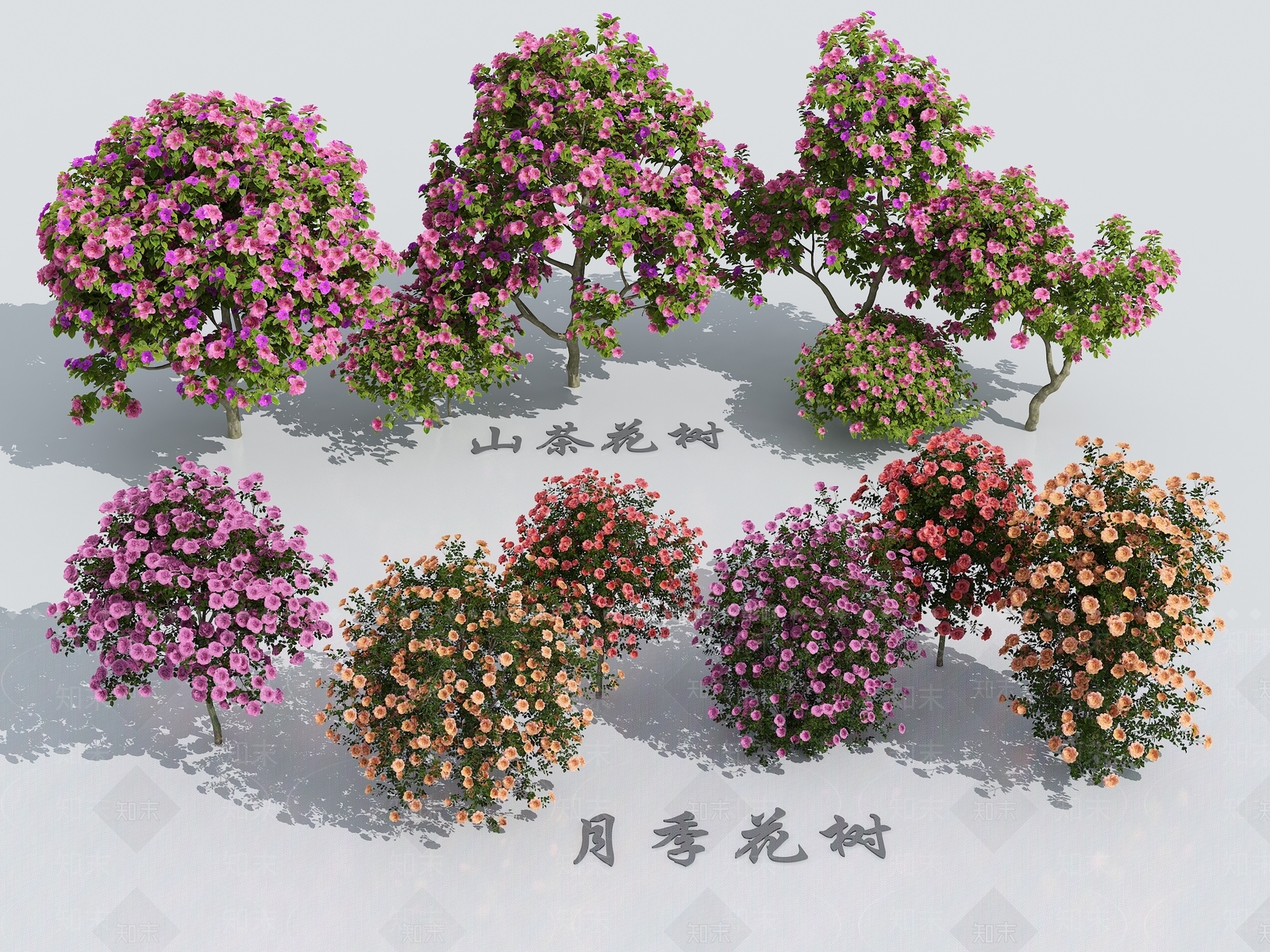 灌木SU模型精品下载_SketchUp模型_知末网
