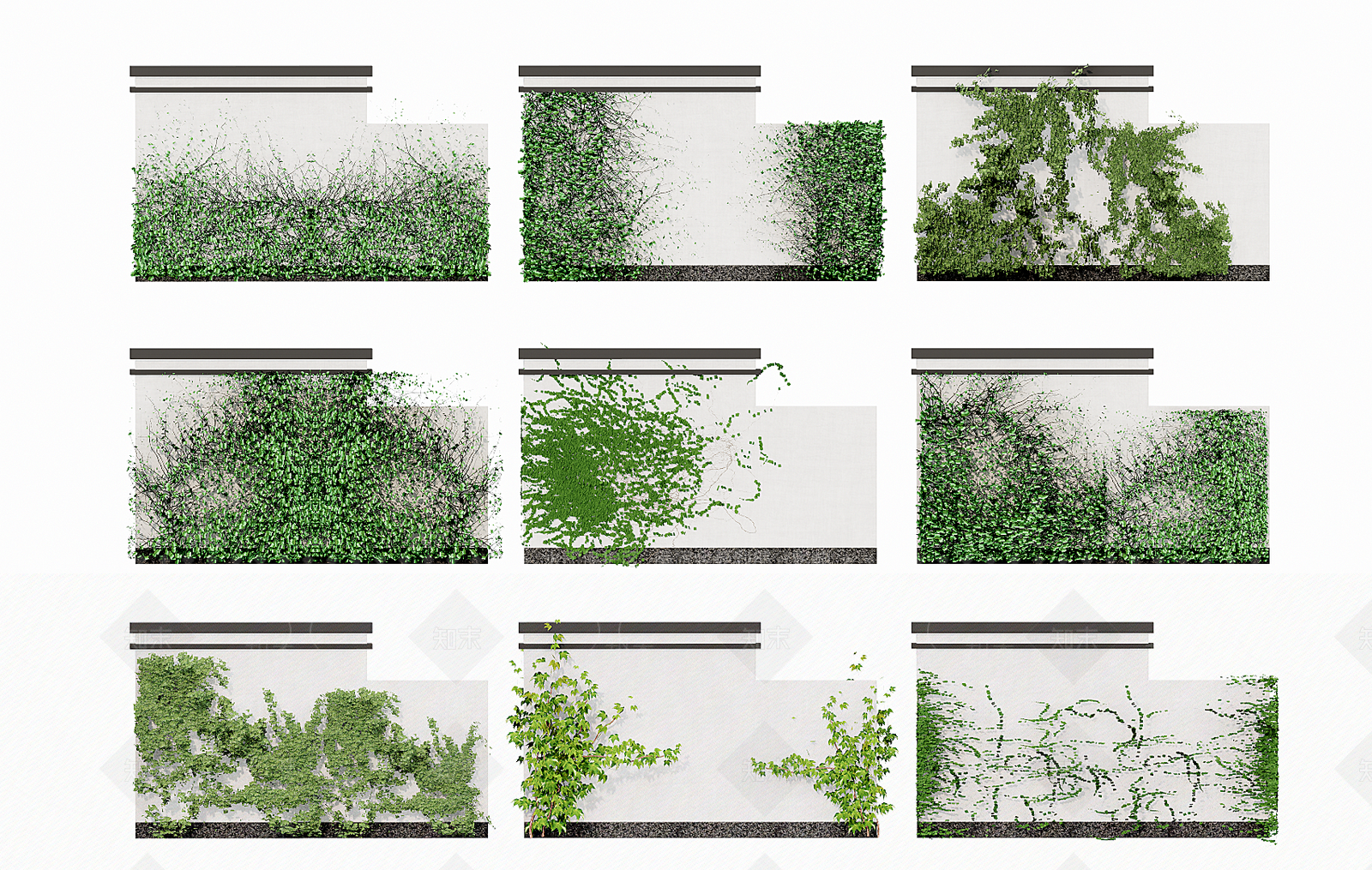 攀爬植物SU模型下载【ID:1131756089】