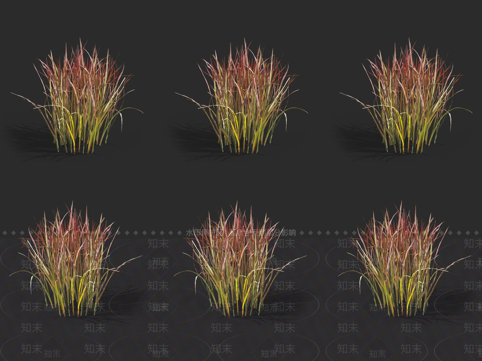 血草3D模型下载【ID:1131764223】