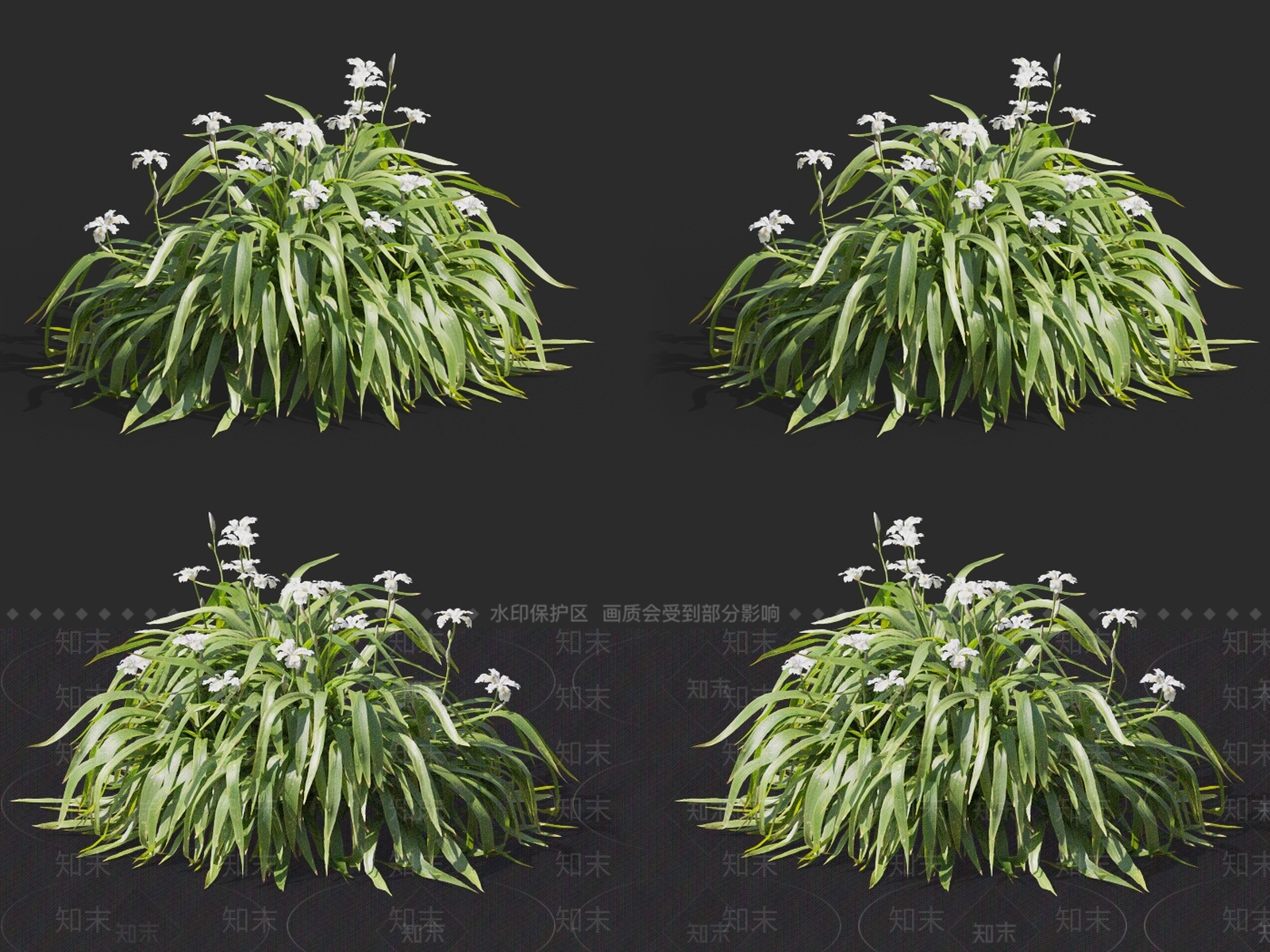 扁竹兰鸢尾3D模型下载【ID:1131764483】