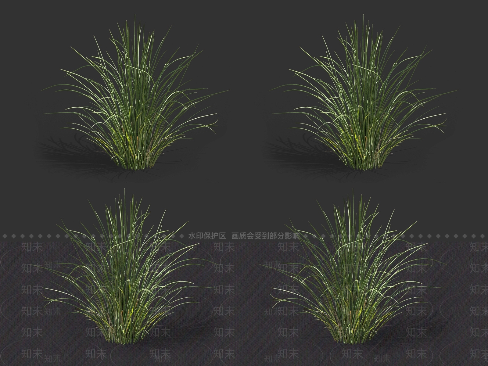 灯心草3D模型下载【ID:1131764835】