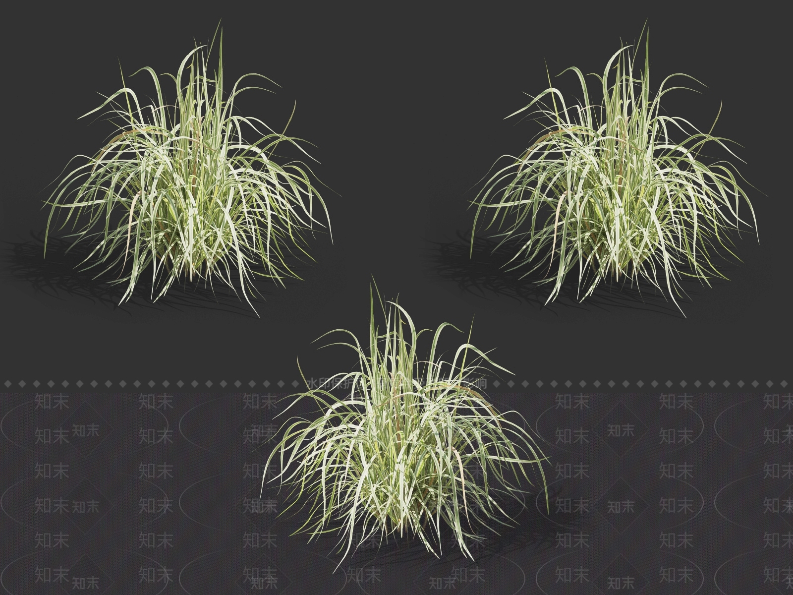 班叶芒3D模型下载【ID:1131764978】