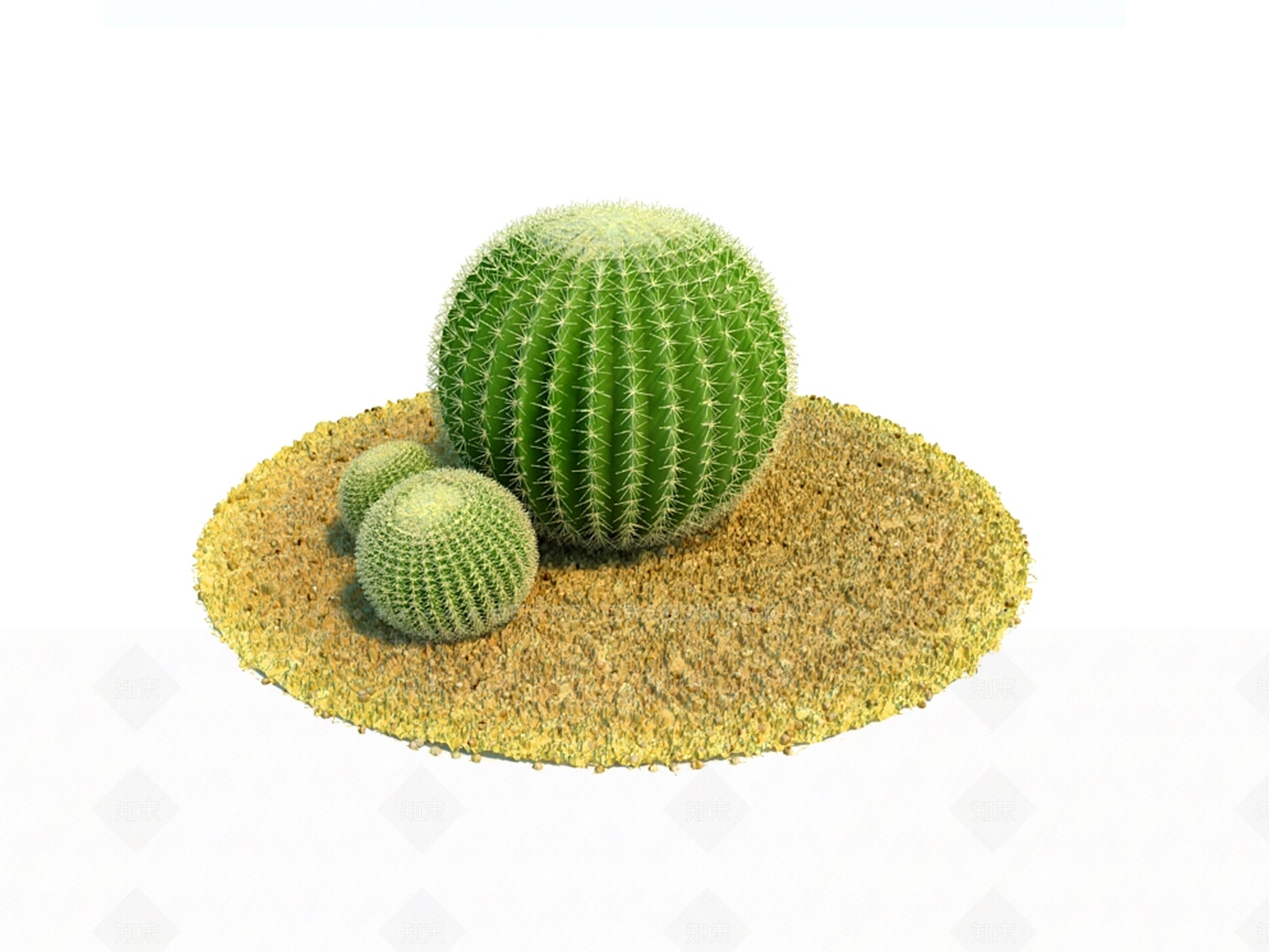 草本植物3D模型下载【ID:1131937905】