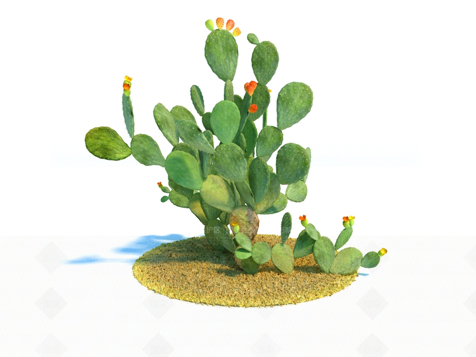 草本植物3D模型下载【ID:1131937905】