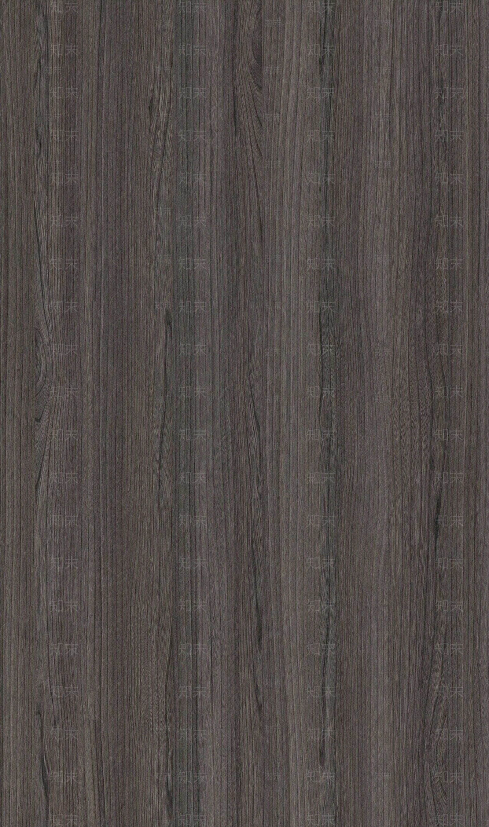 强一木业莱茵灰橡木纹贴图下载【ID:1132004441】